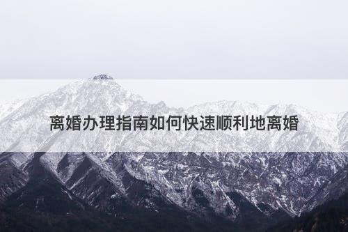 离婚办理指南如何快速顺利地离婚
