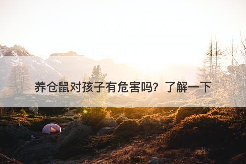 养仓鼠对孩子有危害吗？了解一下