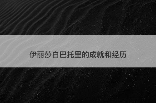 伊丽莎白巴托里的成就和经历