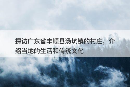探访广东省丰顺县汤坑镇的村庄，介绍当地的生活和传统文化