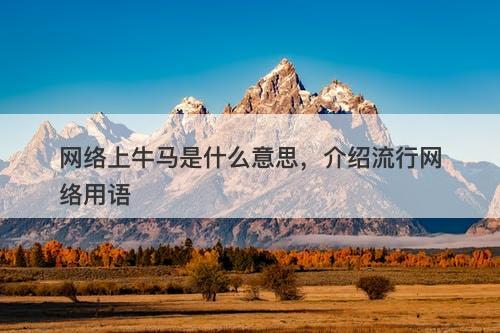 网络上牛马是什么意思，介绍流行网络用语