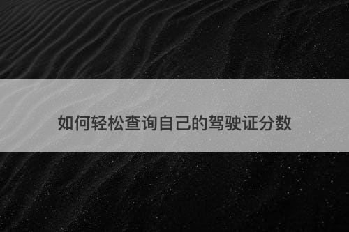 如何轻松查询自己的驾驶证分数
