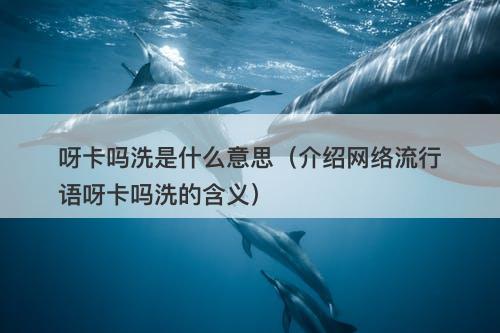 呀卡吗洗是什么意思（介绍网络流行语呀卡吗洗的含义）