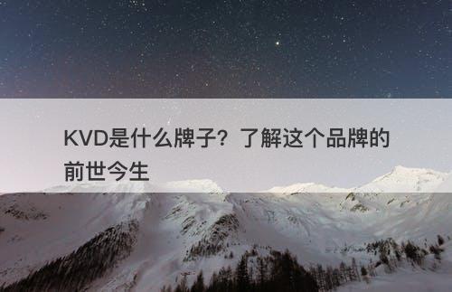 KVD是什么牌子？了解这个品牌的前世今生