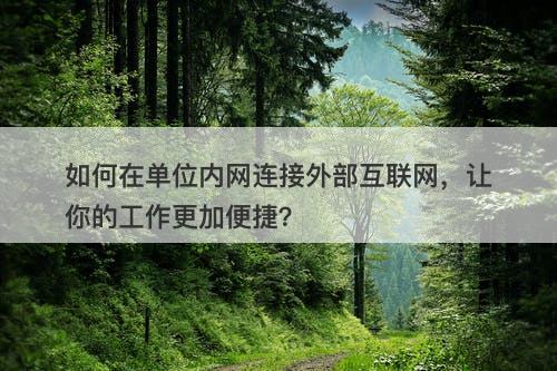 如何在单位内网连接外部互联网，让你的工作更加便捷？