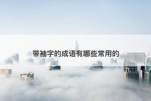 带袖字的成语有哪些常用的