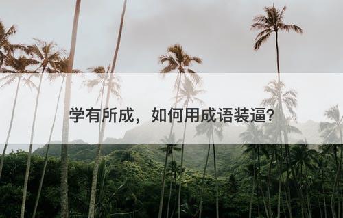 学有所成，如何用成语装逼？