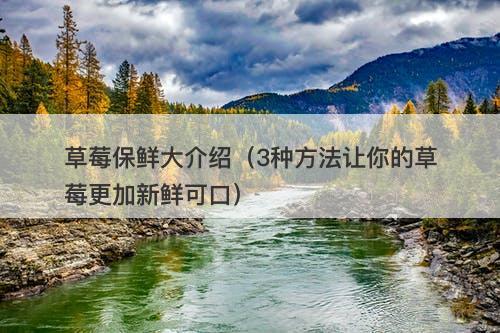 草莓保鲜大介绍（3种方法让你的草莓更加新鲜可口）-图1