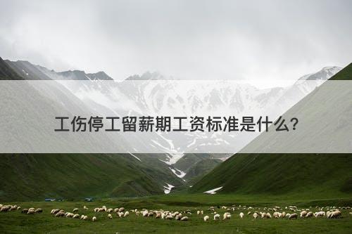工伤停工留薪期工资标准是什么？
