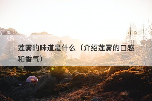 莲雾的味道是什么（介绍莲雾的口感和香气）