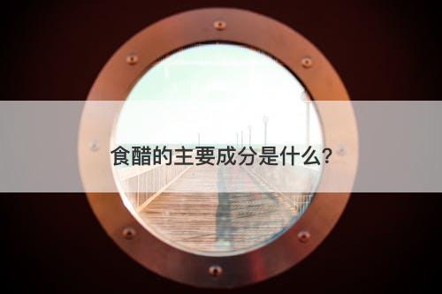 食醋的主要成分是什么？
