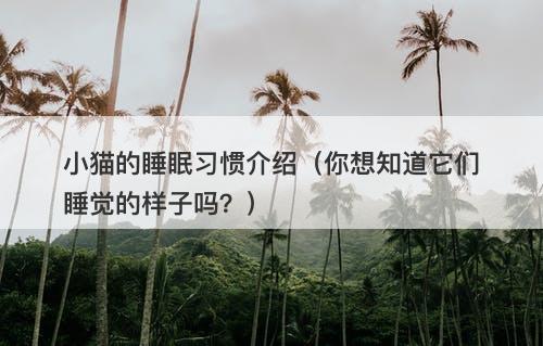 小猫的睡眠习惯介绍（你想知道它们睡觉的样子吗？）