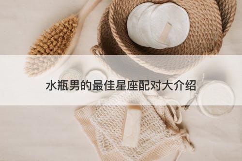 水瓶男的最佳星座配对大介绍