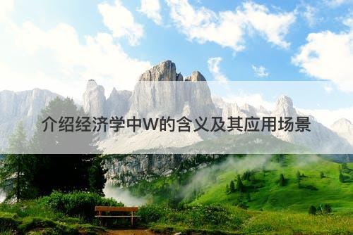 介绍经济学中W的含义及其应用场景