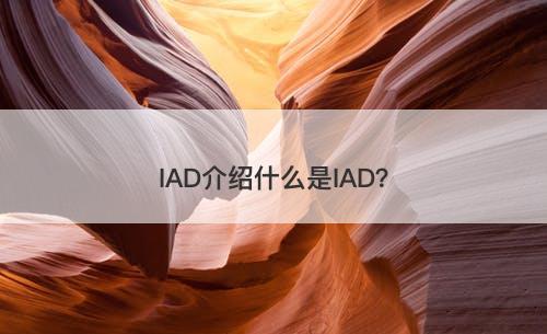 IAD介绍什么是IAD？