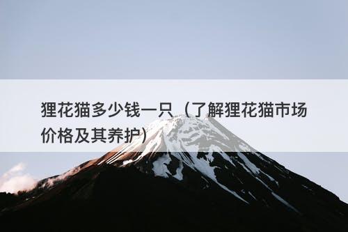 狸花猫多少钱一只（了解狸花猫市场价格及其养护）