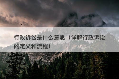 行政诉讼是什么意思（详解行政诉讼的定义和流程）
