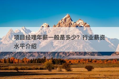 项目经理年薪一般是多少？行业薪资水平介绍