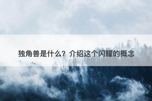 独角兽是什么？介绍这个闪耀的概念