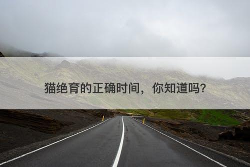 猫绝育的正确时间，你知道吗？