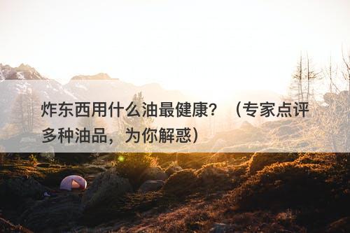 炸东西用什么油最健康？（专家点评多种油品，为你解惑）