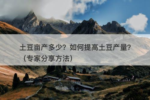 土豆亩产多少？如何提高土豆产量？（专家分享方法）
