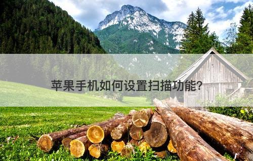 苹果手机如何设置扫描功能？