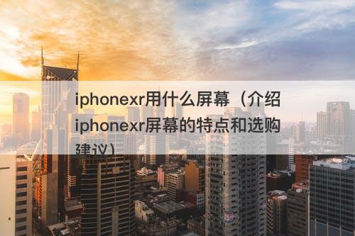 iphonexr用什么屏幕（介绍iphonexr屏幕的特点和选购建议）
