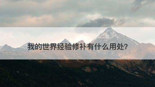 我的世界经验修补有什么用处？