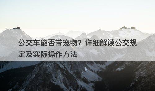 公交车能否带宠物？详细解读公交规定及实际操作方法