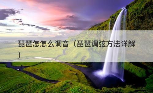 琵琶怎怎么调音（琵琶调弦方法详解）