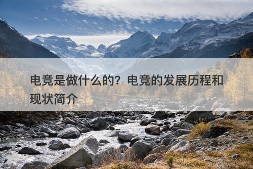 电竞是做什么的？电竞的发展历程和现状简介