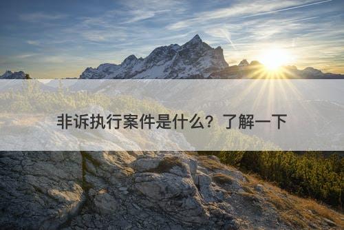 非诉执行案件是什么？了解一下