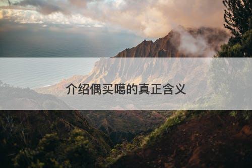 介绍偶买噶的真正含义