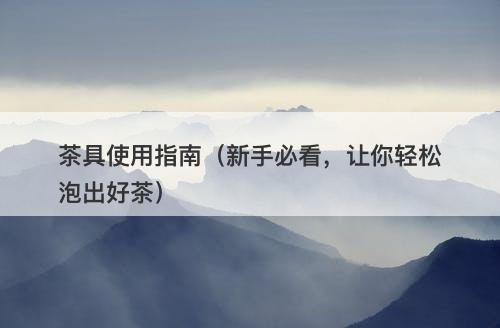 茶具使用指南（新手必看，让你轻松泡出好茶）