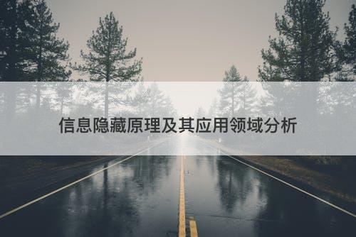信息隐藏原理及其应用领域分析