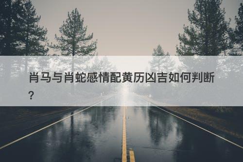 肖马与肖蛇感情配黄历凶吉如何判断？