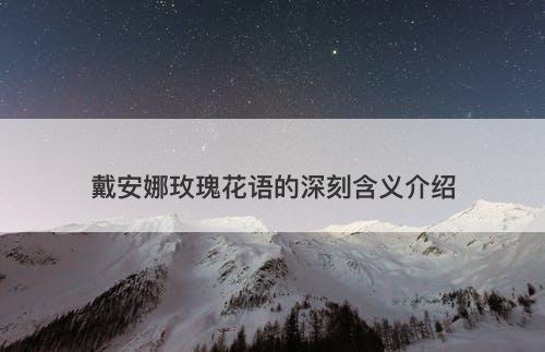 戴安娜玫瑰花语的深刻含义介绍