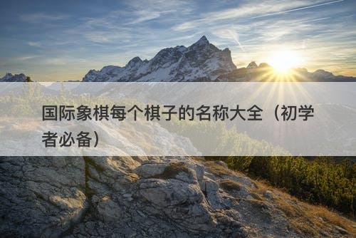国际象棋每个棋子的名称大全（初学者必备）