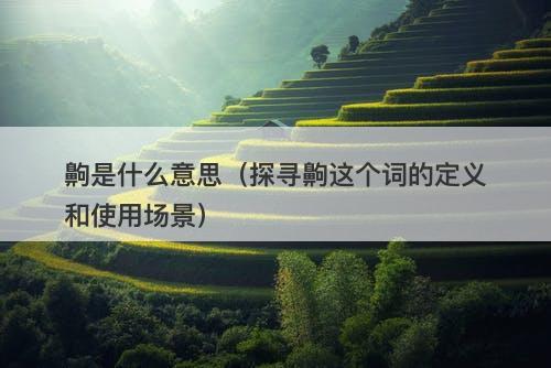 齁是什么意思（探寻齁这个词的定义和使用场景）
