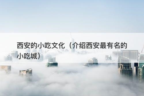 西安的小吃文化（介绍西安最有名的小吃城）