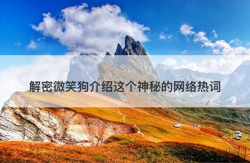 解密微笑狗介绍这个神秘的网络热词