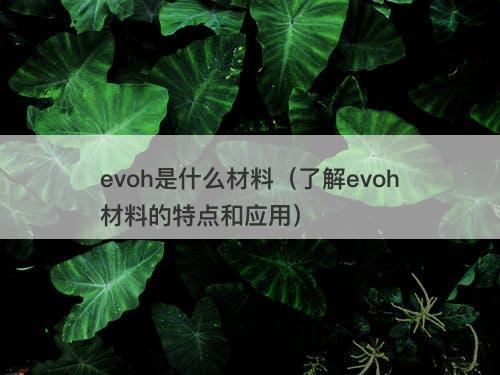 evoh是什么材料（了解evoh材料的特点和应用）