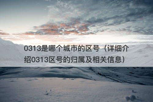 0313是哪个城市的区号（详细介绍0313区号的归属及相关信息）