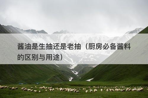 酱油是生抽还是老抽（厨房必备酱料的区别与用途）