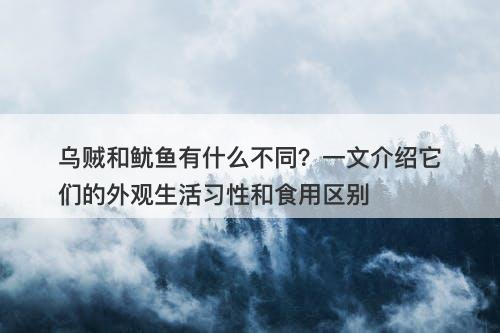 乌贼和鱿鱼有什么不同？一文介绍它们的外观生活习性和食用区别