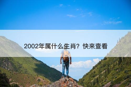 2002年属什么生肖？快来查看