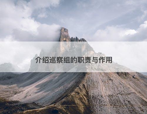 介绍巡察组的职责与作用