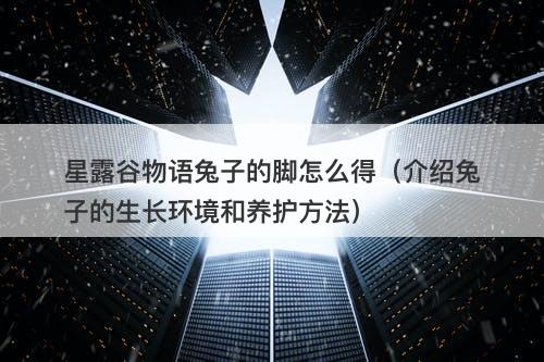 星露谷物语兔子的脚怎么得（介绍兔子的生长环境和养护方法）