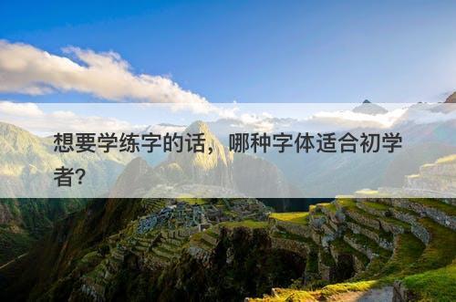 想要学练字的话，哪种字体适合初学者？